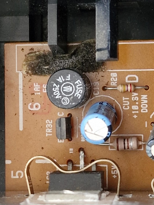 Replacement Fuse 1.0A for Bang & Olufsen Beosound Century